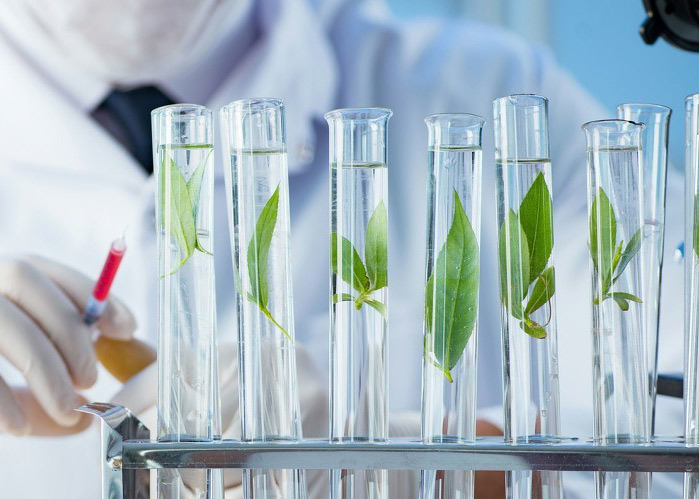 Qianjiang Dongfeng Dust Removal Equipment Accessories Co., Ltd.